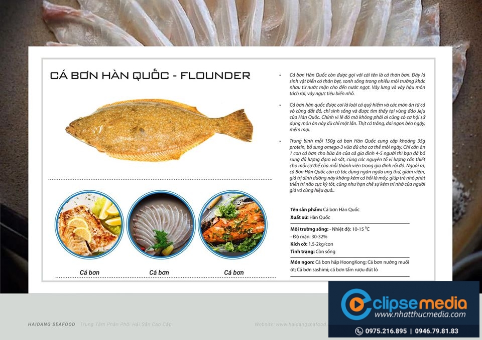 Cá Bơn, thiết kế hải sản